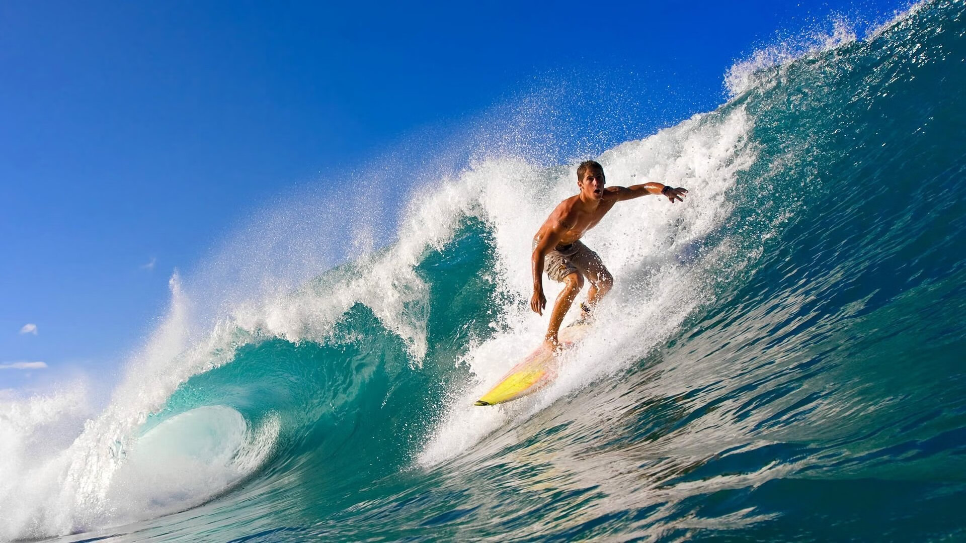 体育赛事热情高涨，球迷热血沸腾，体育赛事热度排行榜