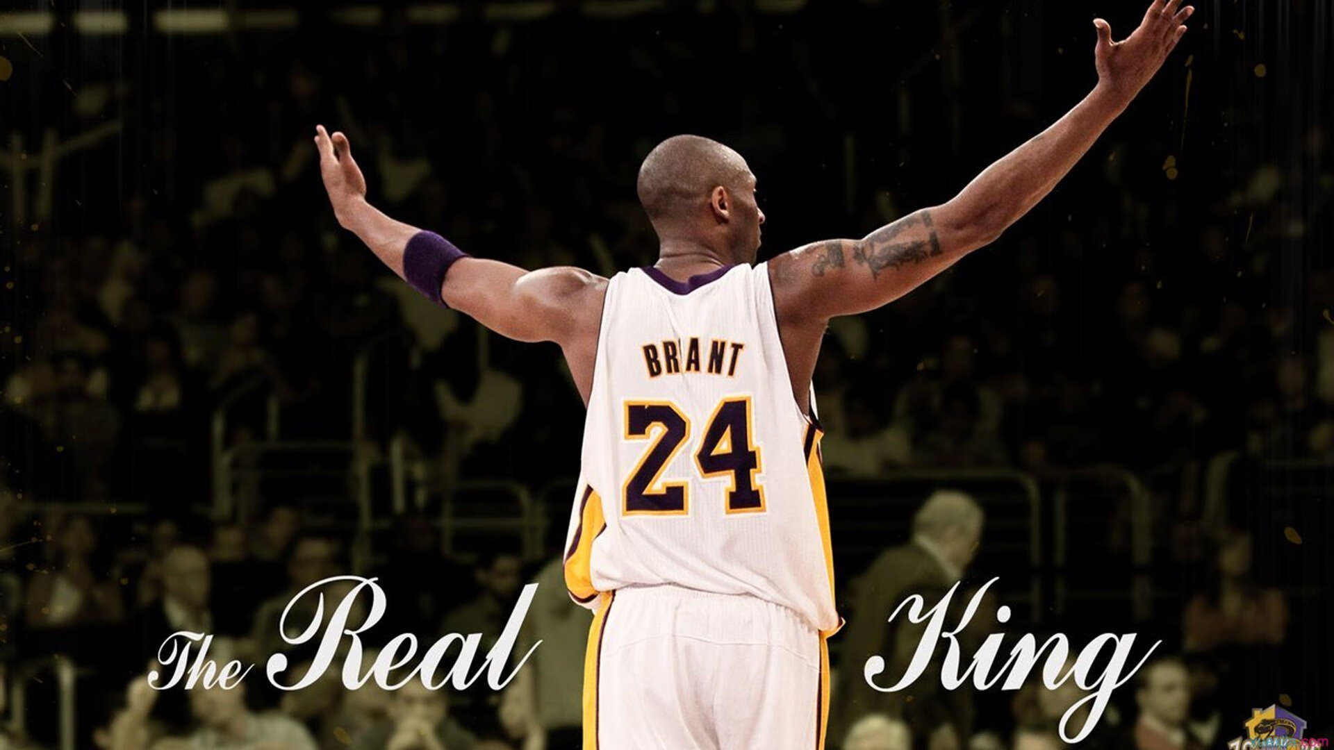 巴朗加国王关键时刻发挥冷静，巴朗barron